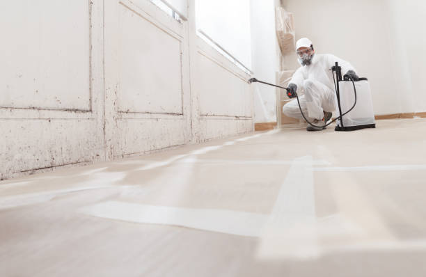 24/7 Emergency Basement Mold Removal experts in Libertyville, IL