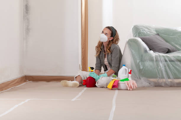 Reliable Basement Mold Removal contractor in Libertyville, IL by WQB Mold Removal